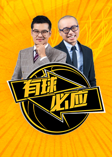 森纳整体防